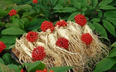 rimedi naturali per trovare potenza